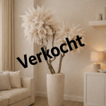 Pampas Tree Art #5 (exclusief vaas)